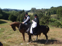 Arrival on horseback